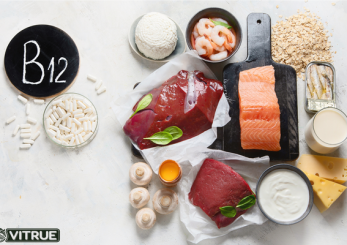 Thực phẩm giàu vitamin B12 rất quan trọng trong cuộc sống