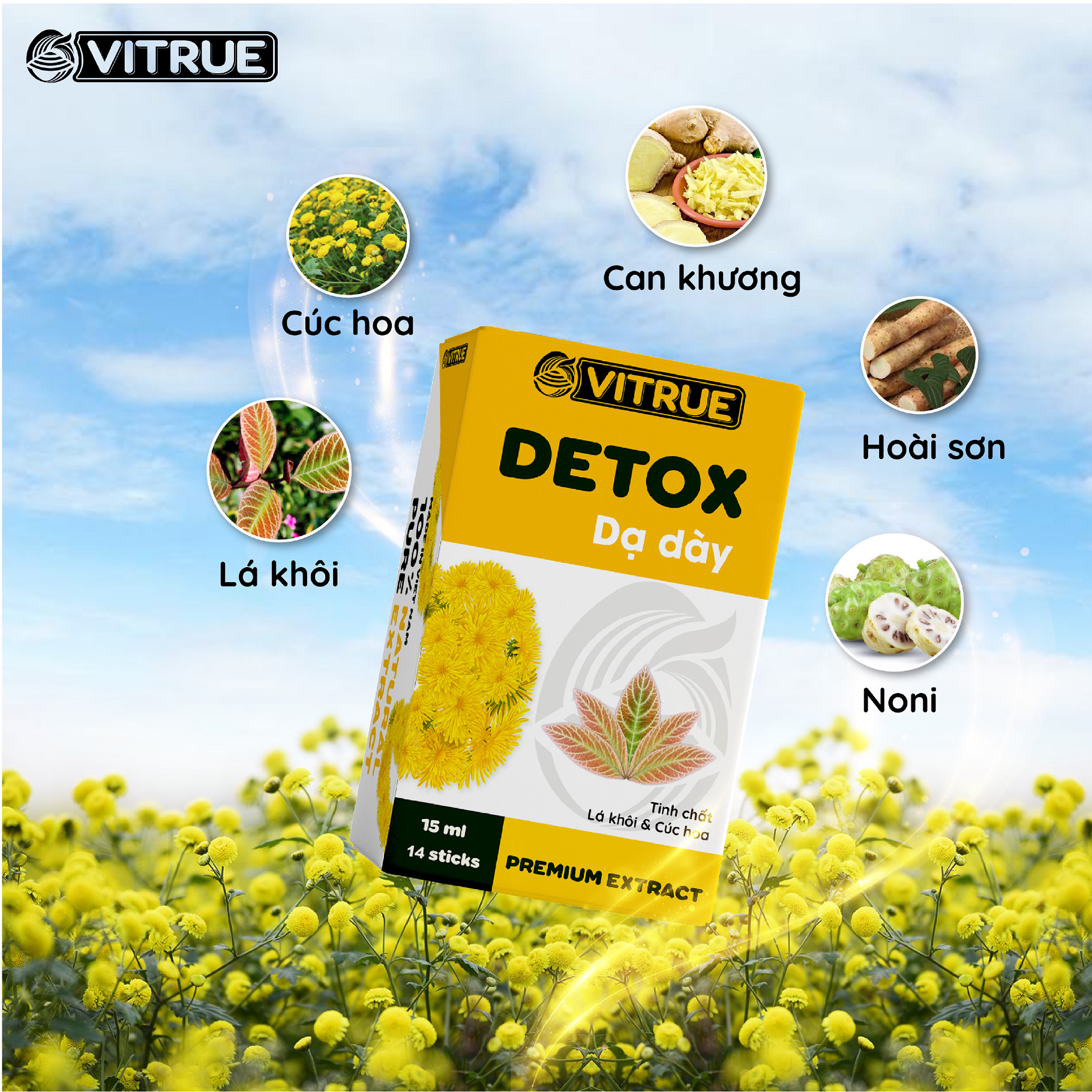 VITRUE Detox dạ dày với các thành phần từ thảo dược