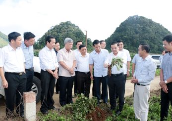 Vùng trồng dược liệu – Gốc rễ cho một sản phẩm chất lượng