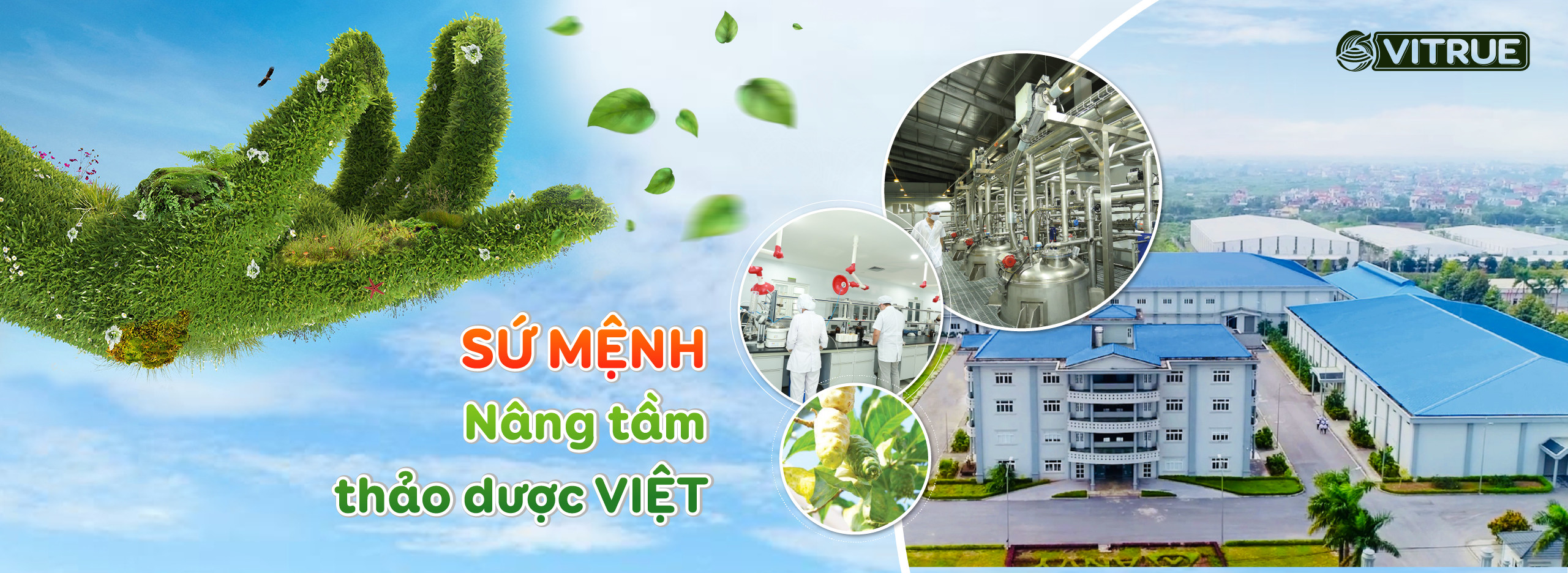 Sứ mệnh nâng tầm thảo dược Việt của VITRUE