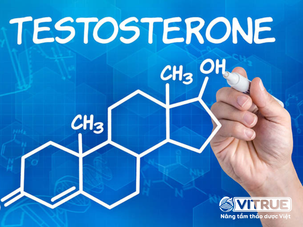 vai trò của Testosterone đối với sức khỏe của phái mạnh 1