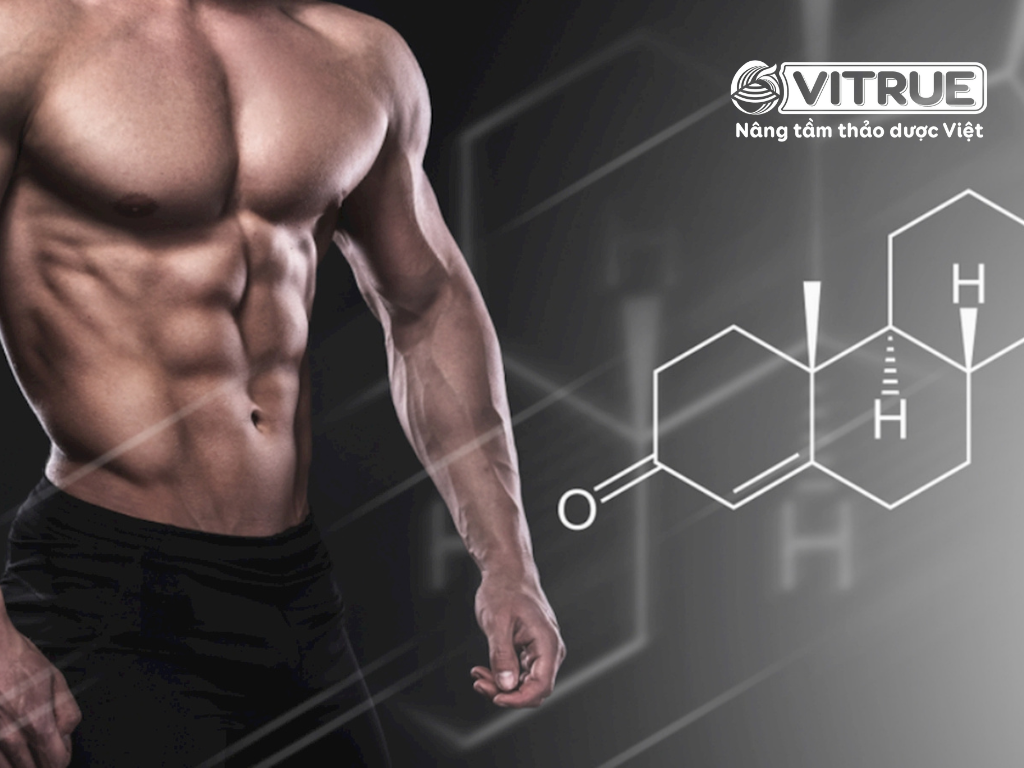 vai trò của Testosterone đối với sức khỏe của phái mạnh 2