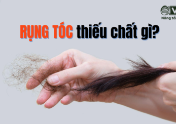 Rụng tóc thiếu chất gì? Cần bổ sung chất gì để tóc khỏe mạnh