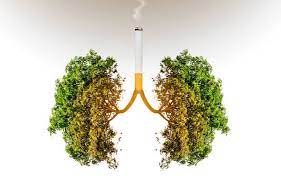 5 cách làm sạch, thải độc phổi cho người hút thuốc thực hiện càng sớm càng tốt