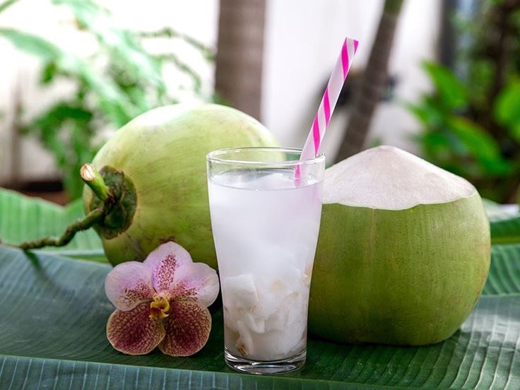 Công dụng của nước dừa, uống nước dừa thường xuyên liệu có tốt?