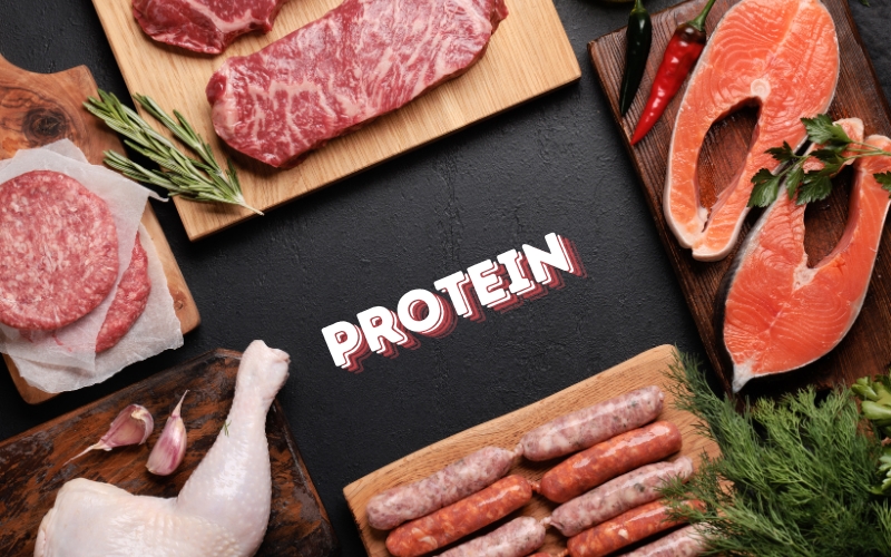 Protein – Nguồn Dinh Dưỡng Thiết Yếu Cho Cơ Thể