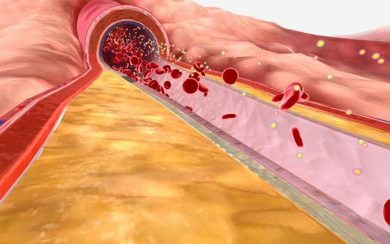 tai-sao-can-bo-sung-thuc-pham-giau-lipid